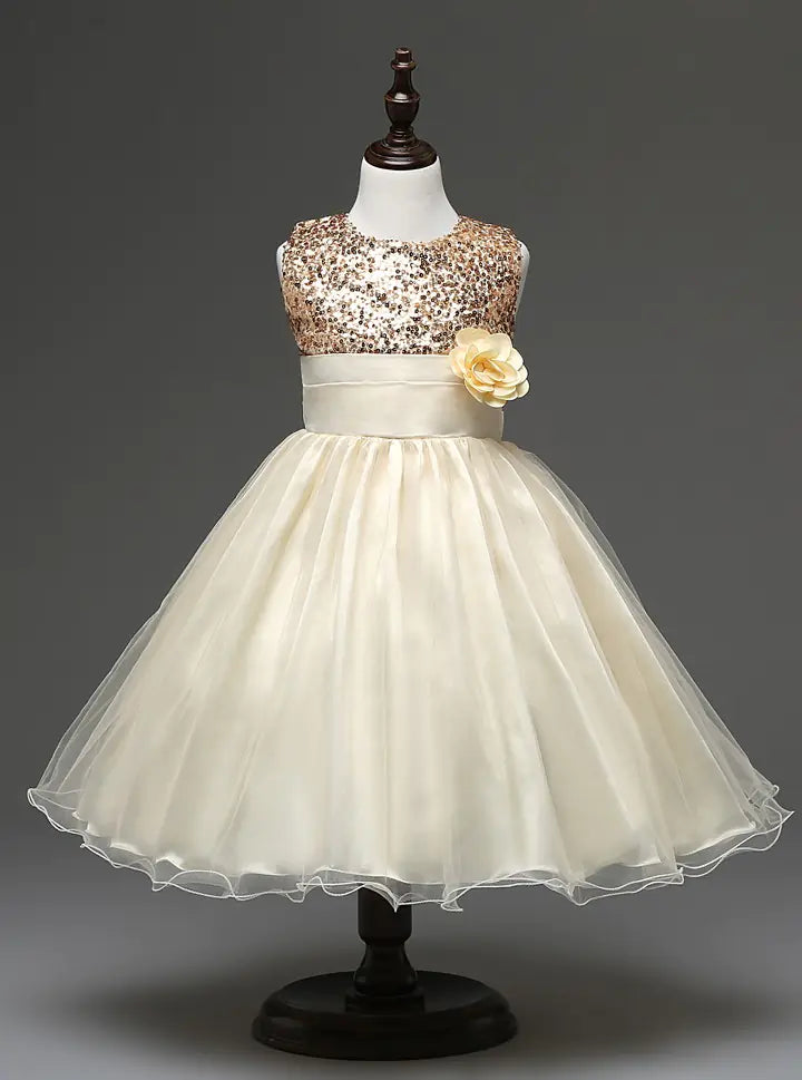 Princess Dresses Collection