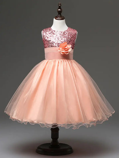 Princess Dresses Collection