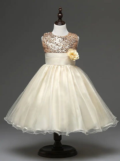 Princess Dresses Collection