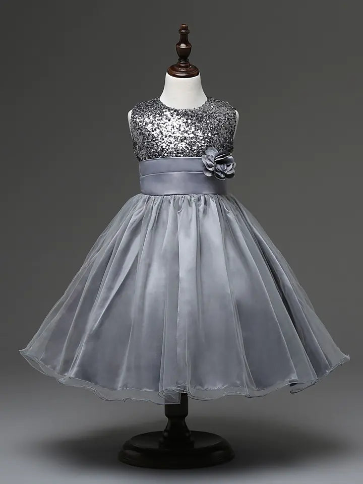 Princess Dresses Collection