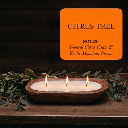 TG 3-Wick Dough Bowl Soy Candles